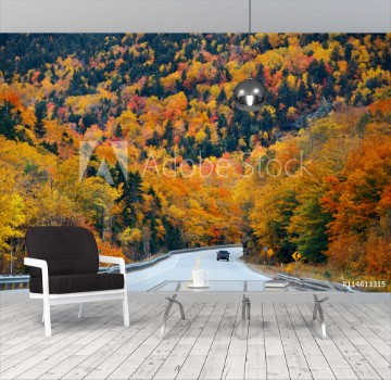 Bild på Highway and Autumn foliage